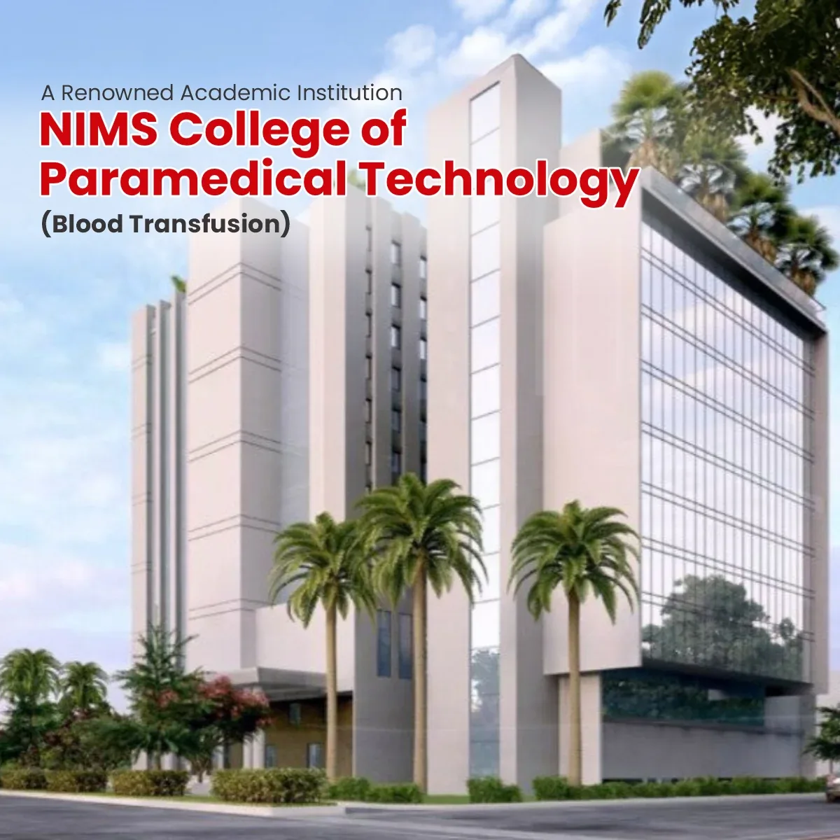 Blood Transfusion banner