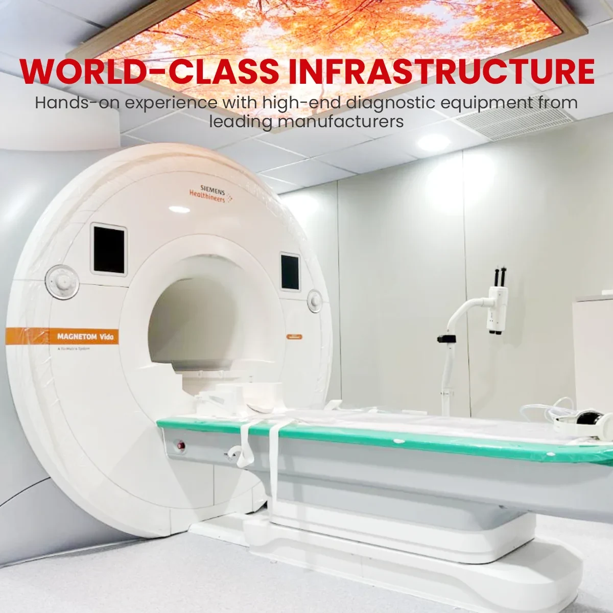 paramedical banner three